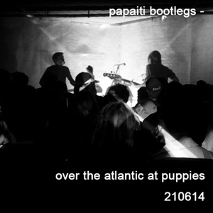 Over the Atlantic at Puppies.