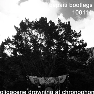 Oligocene Drowning at Chronophon : 100114
