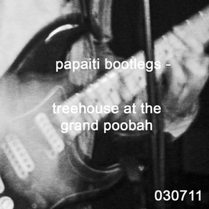 Treehouse at The Grand Poobah.