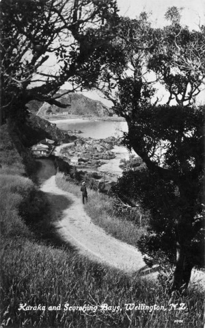 Barker, Frank Giles, d 1955 :Karaka and Scorching Bays, Wellington, NZ