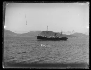 Steamship Elingamite, possibly in the Port Chalmers area