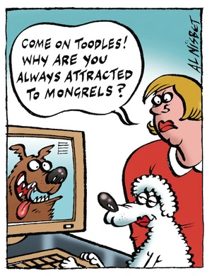 "Come on Toodles! Why are you always attracted to mongrels?" 25 April, 2007