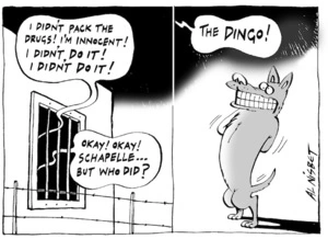"I didn't pack the drugs! I'm innocent! I didn't do it! I didn't do it!" "Okay! Okay! Schapelle... But who did?" "The DINGO!" 16 January, 2006