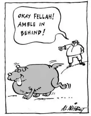Nisbet, Alistair, 1958- :'Okay Fellah! Amble in behind!' Christchurch Press. 8 August, 2002.