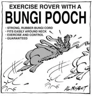 Nisbet, Alistair, 1958- :'Exercise Rover. BUNGI POOCH. *Strong, rubber bungi cord *Fits easily around the neck *Exercise and control *Gauranteed.' Christchurch Press. ca. 29 August 2002.