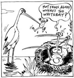 Nisbet, Alistair, 1958- :'Not frogs again! Where's the whitebait?' Christchurch Press. ca. 18 August 2002.