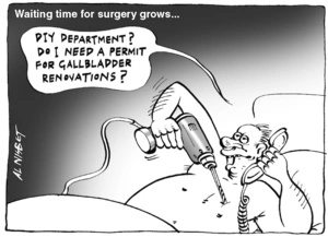 Waiting time for surgery grows... "DIY Department? Do I need a permit for gallbladder renovations?" 5 May, 2005