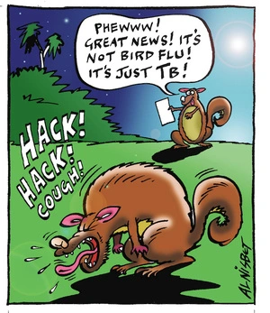 HACK! HACK! COUGH! "Phewww! Great news! It's not bird flu! It's just TB!" 13 October, 2005