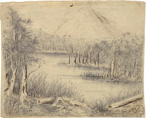 Mundy, Louisa Catherine Georgina :[Illawarra, a salt lagoon. Jan 29th 1849]