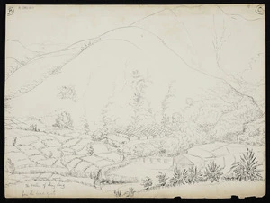 Collinson, Thomas Bernard 1822-1902 :The Valley of Hong Kong from the head of it. [Between 1843 and 1846]
