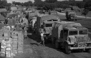 Unit trucks lined up at New Zealand Division Supply Point, waiting for unit rations to be loaded up for delivery