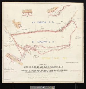 Plan of Secs. 12, 13, 28, 29 & 31 Blk. III Takapau S. D