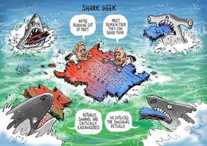 Shark Week