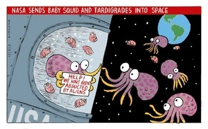 NASA sends baby squid and tardigrades into space
