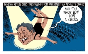 Winston Peters calls trespassing from parliament 'an absolute circus'