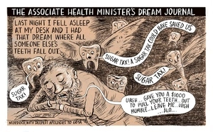 The Associate Health Minister's dream journal