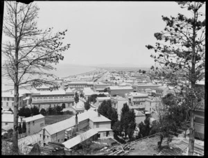 View of Napier from Bluff hill