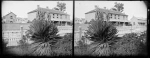 Carlyle Street, Napier, with a flowering yucca in the foreground