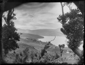 View of hills and sea, [Otago Harbour?]