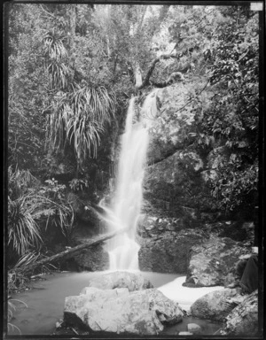 A small waterfall amongst native forest, Belmont, Lower Hutt