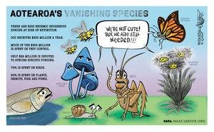 Aotearoa's Vanishing Species