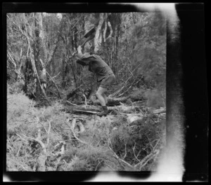 Les Cleveland with broad axe, squaring silverpine Log, Mussel Point, Haast