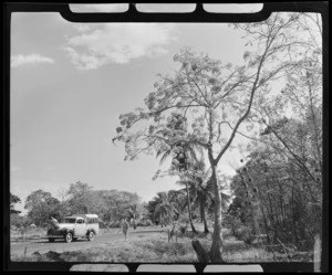 Darwin, Northern Territory, Australia