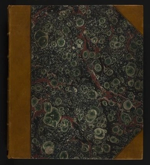 Gorrie, Minnie, fl 1877-1882 : Fiji diary