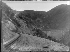 Section of railway track on the Rimutaka Incline, Wellington Region