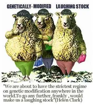 Webb, Murray, 1947- :Genetically-modified laughing stock. 24 May 2002.