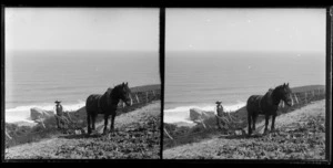 Coastal scene featuring unidentified man ploughing hillside, including draught horse [Otago Region?]
