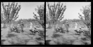 Edgar Richard Williams in garden with his [grandmother?] and with Daisy Sutherland and Owen William Willams (in wheelbarrow), Motohou Station, Brunswick, Whanganui Region