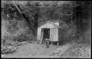 Small rustic hut, Clinton Canyon, Milford Sounds