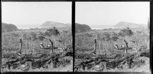 View over partially cleared land to the coast, Catlins district