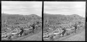 Edgar and Owen Williams with rifles in a clearing of felled and dead trees, Catlins district