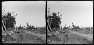 Cottage at the end of dirt road with fringe of native forest, Pounawea, Catlins area, Clutha District, Otago Region