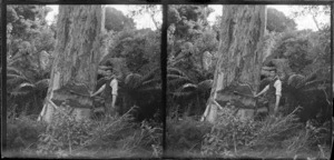 Alfred Campbell felling [rimu?] tree with axe [Clutha District, Otago Region?]