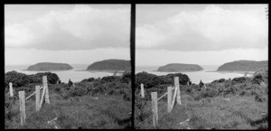 Coastal view featuring Jack's Island, Pounawea, Catlins area, Clutha District, Otago Region