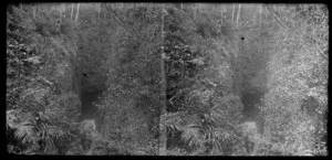 Blow hole, Catlins area, Clutha District, Otago Region