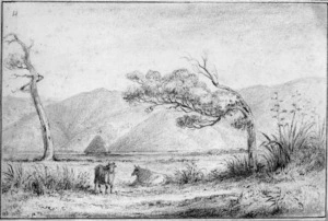 [Swainson, William] 1789-1855 :Petoni Flat, seen from the Wellington road. [ca 1845]