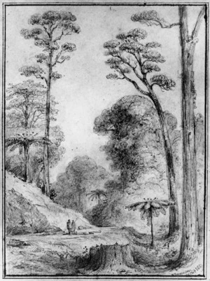 Swainson, William, 1789-1855 :Round the first gorge looking down, Hutt Road. Oct., 1847.