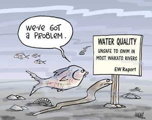 Water quality - unsafe to swim in most Waikato rivers. EW Report. "We've got a problem." 11 September, 2008