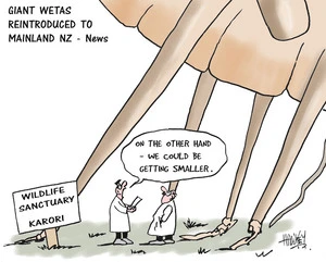 Giant wetas reintroduced to mainland NZ - News "On the other hand - we could be getting smaller." 13 February, 2007