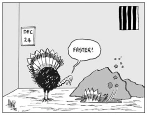 "Faster!" 24 December, 2003