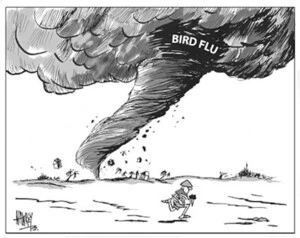 Bird flu. 30 January, 2004.