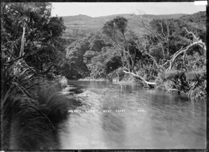 Anawhata River and native bush