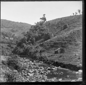 Unidentified boys on bridge over stream, Leith, Waikouaiti, Dunedin, Otago Region, including wooden shack and farmland