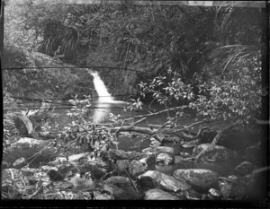 Contemplative man by waterfall, with fallen branches and rocks in the foreground [Kew, Dunedin?]