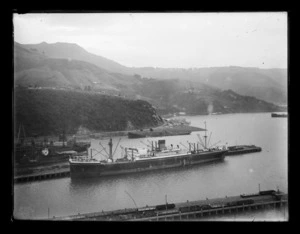 Unidentified steam ship at Port Chalmers