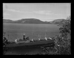 Unidentified steam ship, possibly of the Prince Line (London), photographed in Otago Harbour.